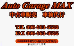 Auto Garage MAX